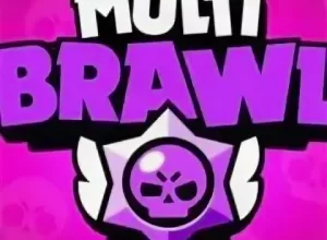 Private MT Brawl